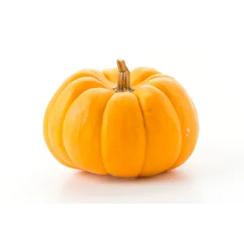 Fresh Pumpkin